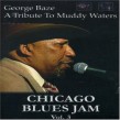 George Baze- (DVD)- A Tribute To Muddy Waters