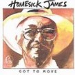 Homesick James- Got To Move